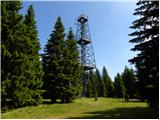 Mislinjski graben (Pestotnik) - Rogla